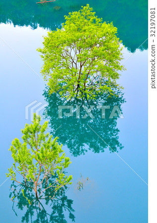 Fresh green autumn fan lake 32197081