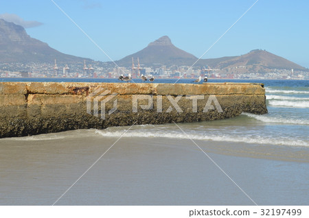 南非，開普敦，海岸 32197499