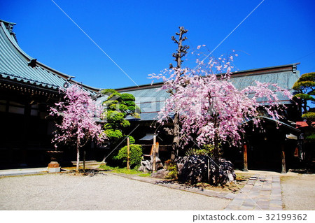 Su訪湖畔下地Shogoin＆Sakura no Hana（長野縣Su訪市小和田） 32199362