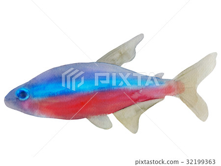 紅衣主教四 32199363