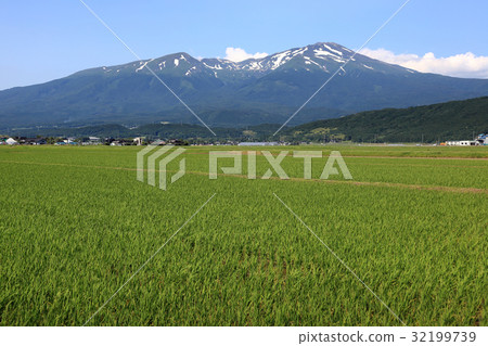 Chokai和稻田 32199739