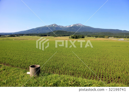 Chokai和稻田 32199741