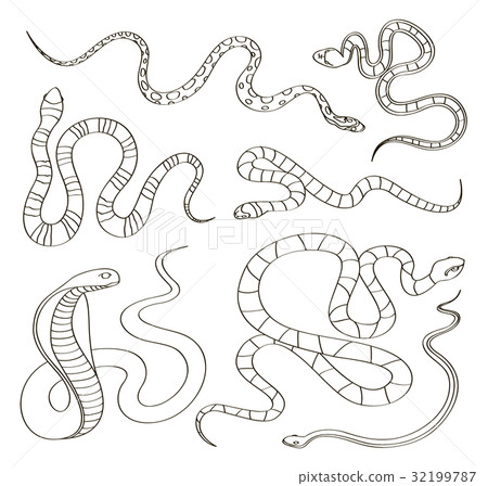 Snake draw Images - Search Images on Everypixel