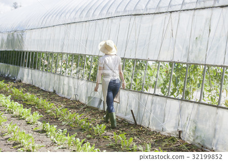 Agriculture girls Agriculture girls 32199852