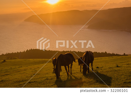 Cape Toki和Misaki Ma 32200101