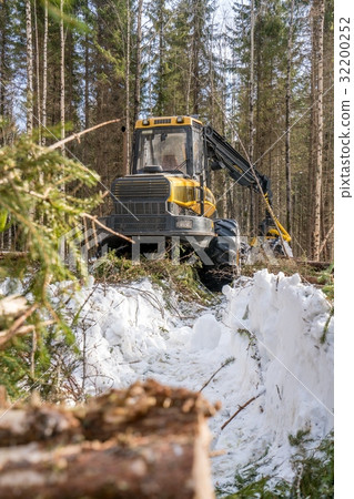 Vertical photo of logger in winter forest 32200252