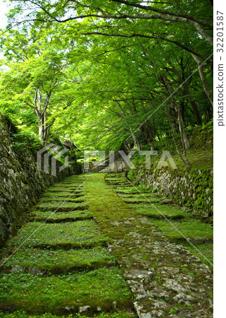 Kudaradera Kudaradera 32201587