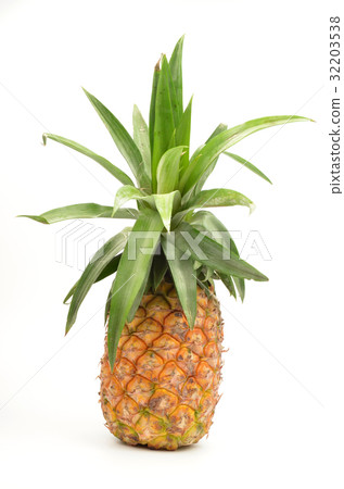 pineapple isolated pineapple isolated 32203538