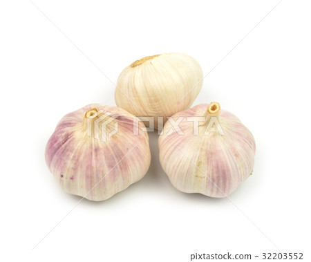 garlic isolated garlic isolated 32203552