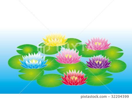 睡蓮鮮花 睡蓮鮮花 32204399
