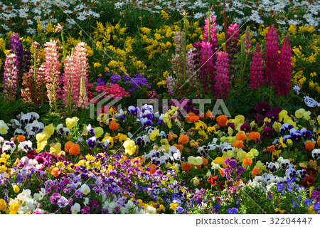 Yokohama Zoo Zoorasia 32204447