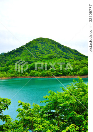 Fresh green Treasure Lake 32206777