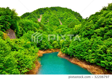 Fresh green Treasure Lake Fresh green Treasure Lake 32206797