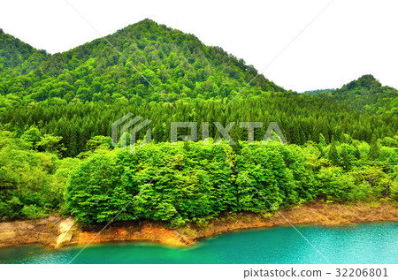 Fresh green Treasure Lake 32206801