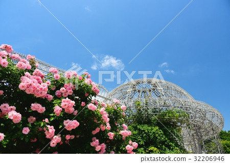 Flower Garden 32206946