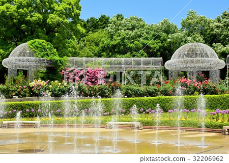 Flower Garden 32206962