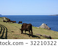 Ranch 32210322