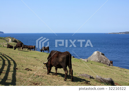 Ranch Ranch 32210322