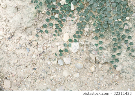 leaf grass background 32211423