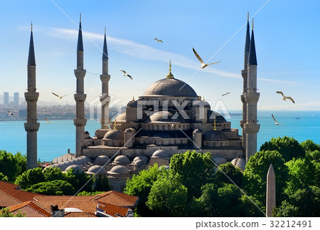 Blue Mosque and Bosphorus Blue Mosque and Bosphorus 32212491