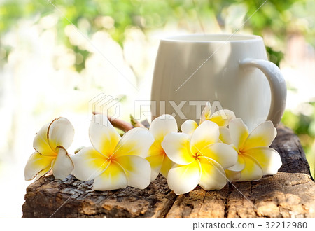 Group of beautiful Plumeria flower and coffee cup Group of beautiful Plumeria flower and coffee cup 32212980