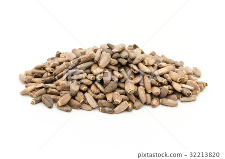 Milk thistle: Milk thisle 32213820