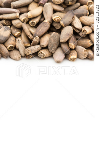 Milk thistle: Milk thisle 32213823