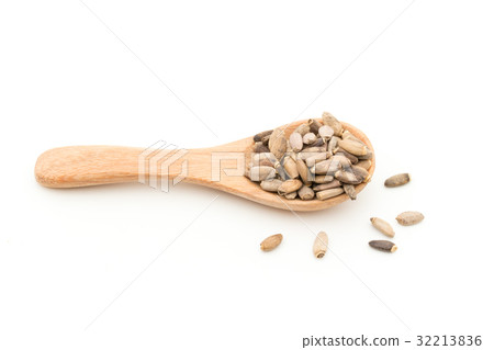 牛奶薊：牛奶薊 32213836