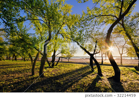 Magic morning with the rising sun Magic morning with the rising sun 32214459