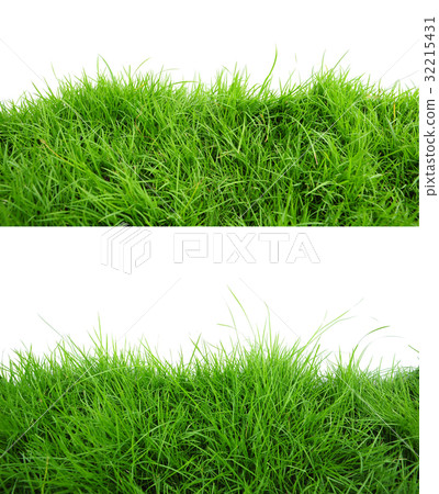 Grass 32215431