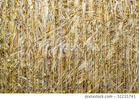 pattern closeup Natural texture of straw bale of 32215741