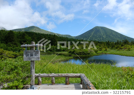 Hakkoda Water Lily Bottle Hakkoda Water Lily Bottle 32215791