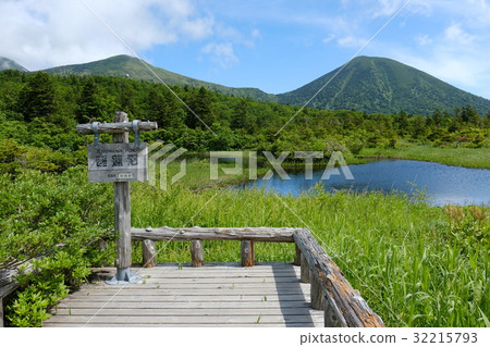 Hakkoda Water Lily Bottle Hakkoda Water Lily Bottle 32215793