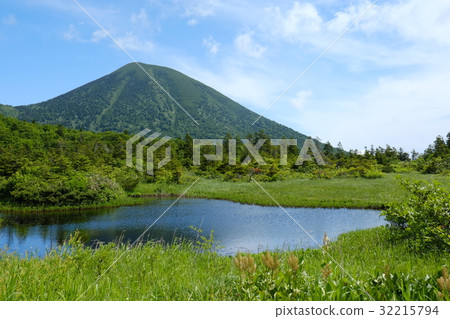 八甲田睡蓮瓶 八甲田睡蓮瓶 32215794