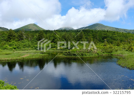 八甲田睡蓮瓶 32215795