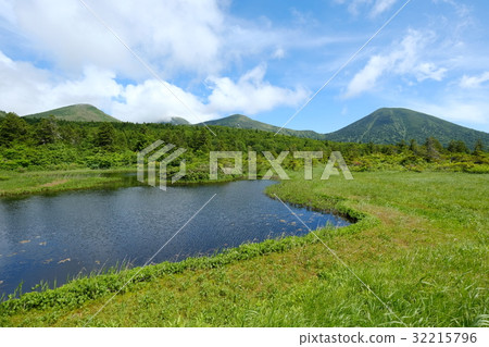 八甲田睡蓮瓶 八甲田睡蓮瓶 32215796