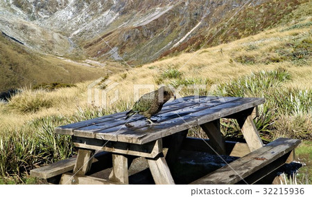 New Zealand Kepler truck New Zealand Kepler truck 32215936