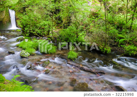 Waterfall and mountain stream of Ryugaku Waterfall and mountain stream of Ryugaku 32215998