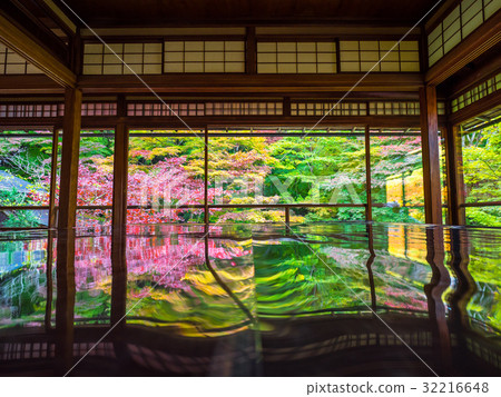 Kinufu Rurikoin 32216648