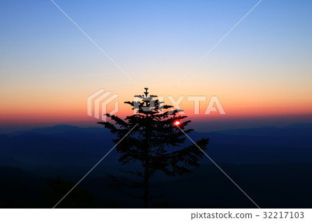 來自田中的朝日 來自田中的朝日 32217103