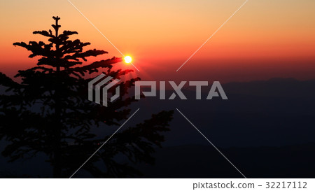 來自田中的朝日 來自田中的朝日 32217112