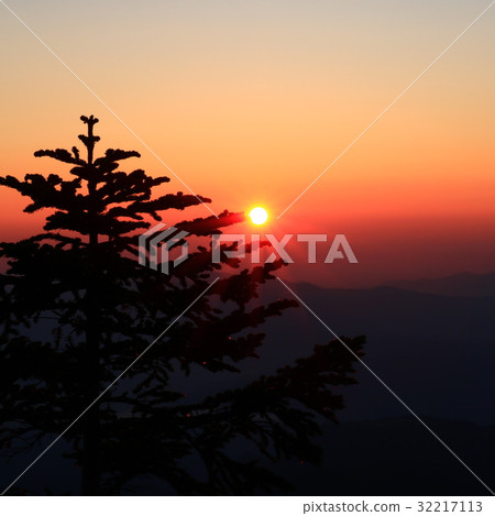 來自田中的朝日 來自田中的朝日 32217113