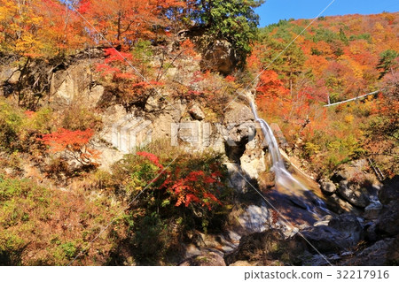 Autumnal leaves of autumnal leaves River valley Autumnal leaves of autumnal leaves River valley 32217916