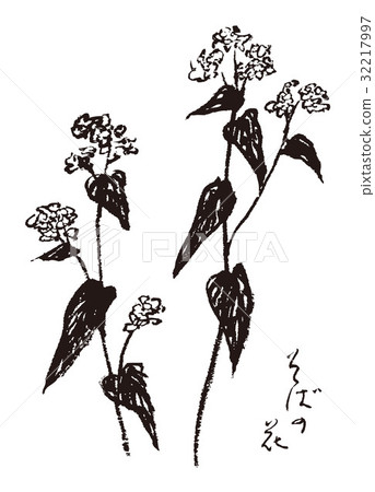 Soba flower hand-painted Soba flower hand-painted 32217997