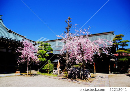 Su訪湖畔下地Shogoin＆Sakura no Hana（長野縣Su訪市小和田） 32218041