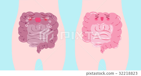 intestine with health concept 32218823