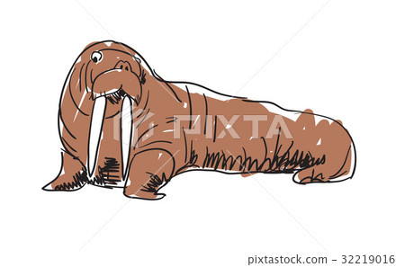 Walrus hand drawn isolated icon 32219016