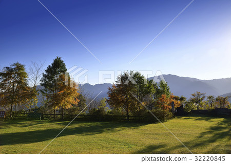 The Lawn The Lawn 32220845