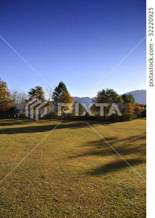 The Lawn 32220925