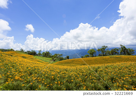 East of Taiwan 32221669